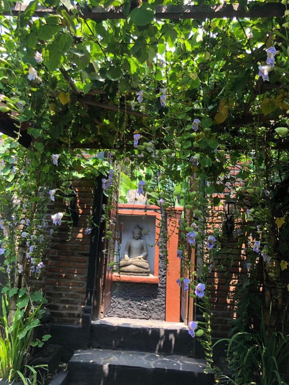 Tribe Theory Startup Village For Entrepreneurs Kuta Lombok Extérieur photo